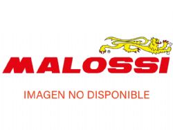 Juego retén de aceite Malossi FKM Piaggio 6618157