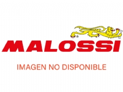 Silenciador Tubarro Motor Mg3 Malossi 16325321